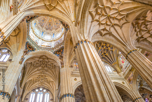 Detail of the medieval cathedral of Salamanca photo
