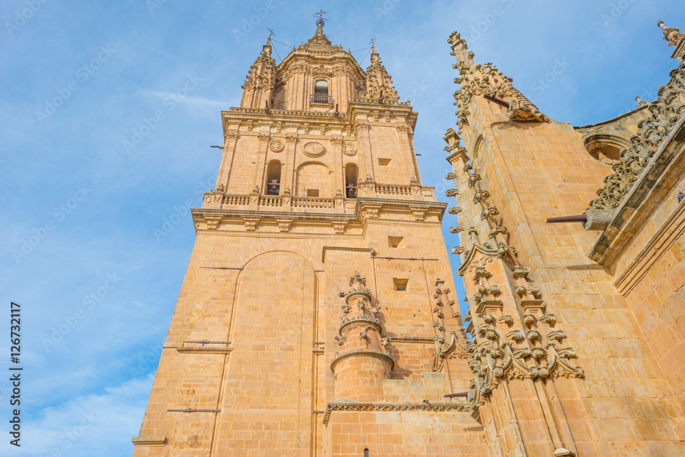 Detail of the medieval cathedral of Salamanca