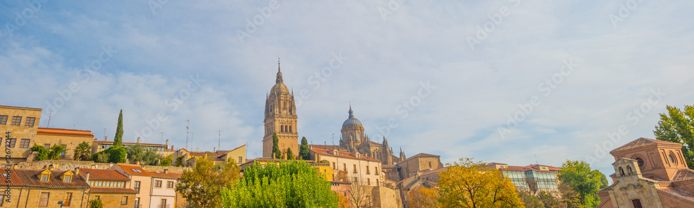 Skyline of the city of Salamanca
