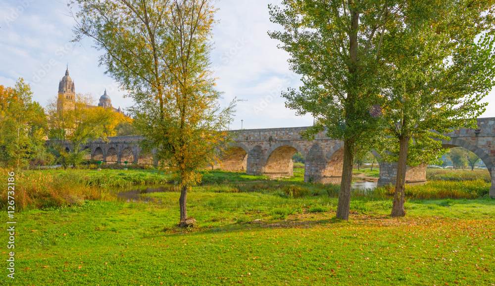 Roman bridge in the city of Salamanca