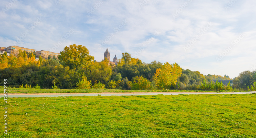Obraz premium Park of the city of Salamanca