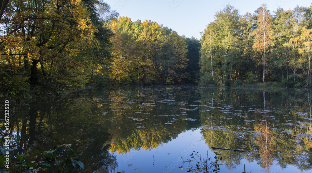 Lake with reflection of trees on water. Lake with reflection of trees on water.
