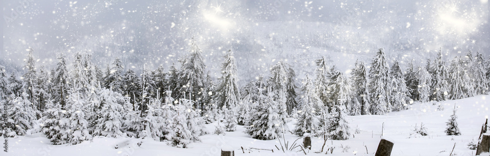 Naklejka premium Winter landscape with snowy fir trees