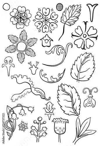 Hand drawn vintage floral elements
