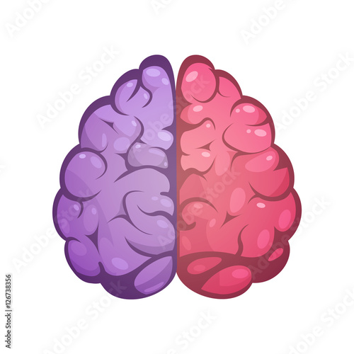 Right And Left Brain Symbolic Image 