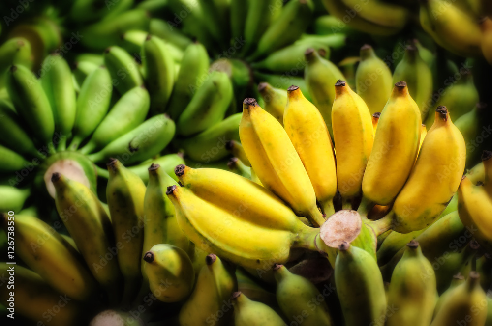 Group of banana, tropical fruit concept