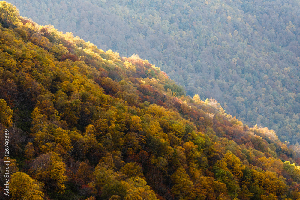 Autumn scenery in the mountains of Asturias