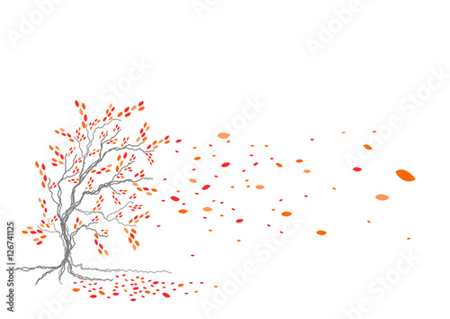 Baum im Herbst_2