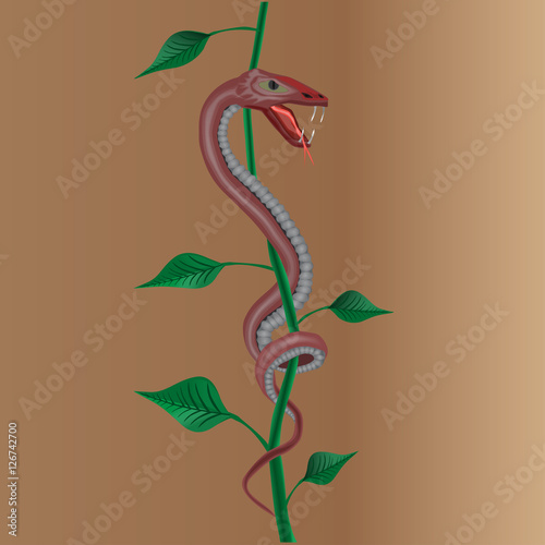 Snake with plant