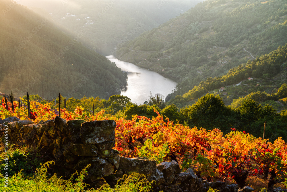 Obraz premium Sunset over the vineyards of Ribeira Sacra