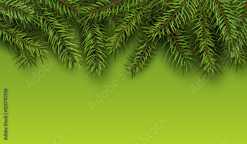 Christmas background with green fir tree