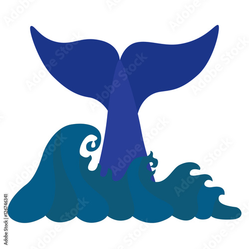  Tail of a whale