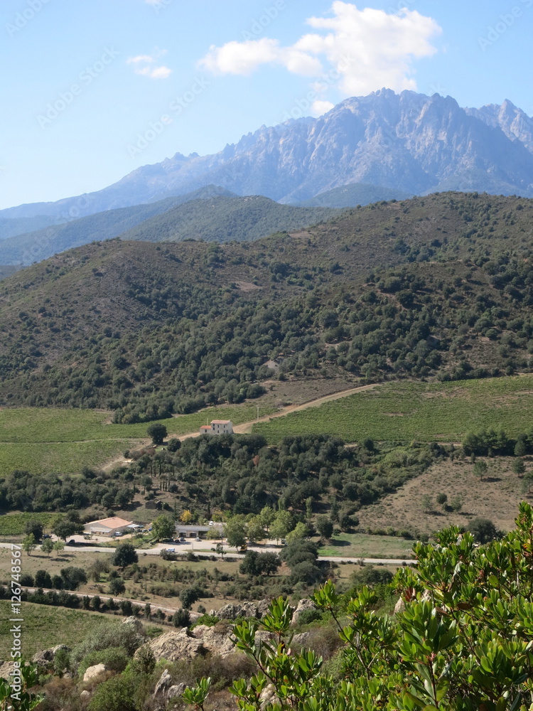 Korsika Vallée du Golo 5