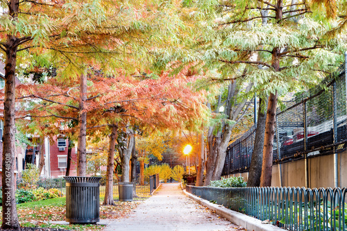 Photography Fall in Manhattan - New York City