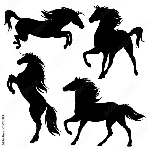 horse silhouette set - black and white vector design