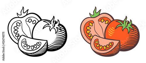 Stylized vector illustration of tomatoes. Fresh ripe tomato, cross section with seeds and tomato slice. Outline and colored version, isolated on white