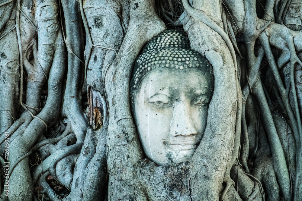 Buddha's head in a banyan tree, Ayutthaya, Thailand