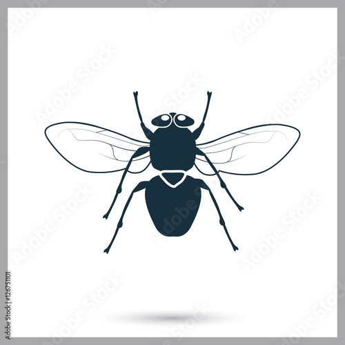 Fly icon. Simple design for web and mobile © LynxVector