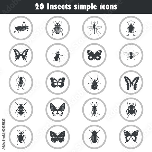 Different insects icons set for web and mobile design