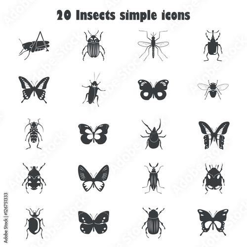 Different insects icons set for web and mobile design