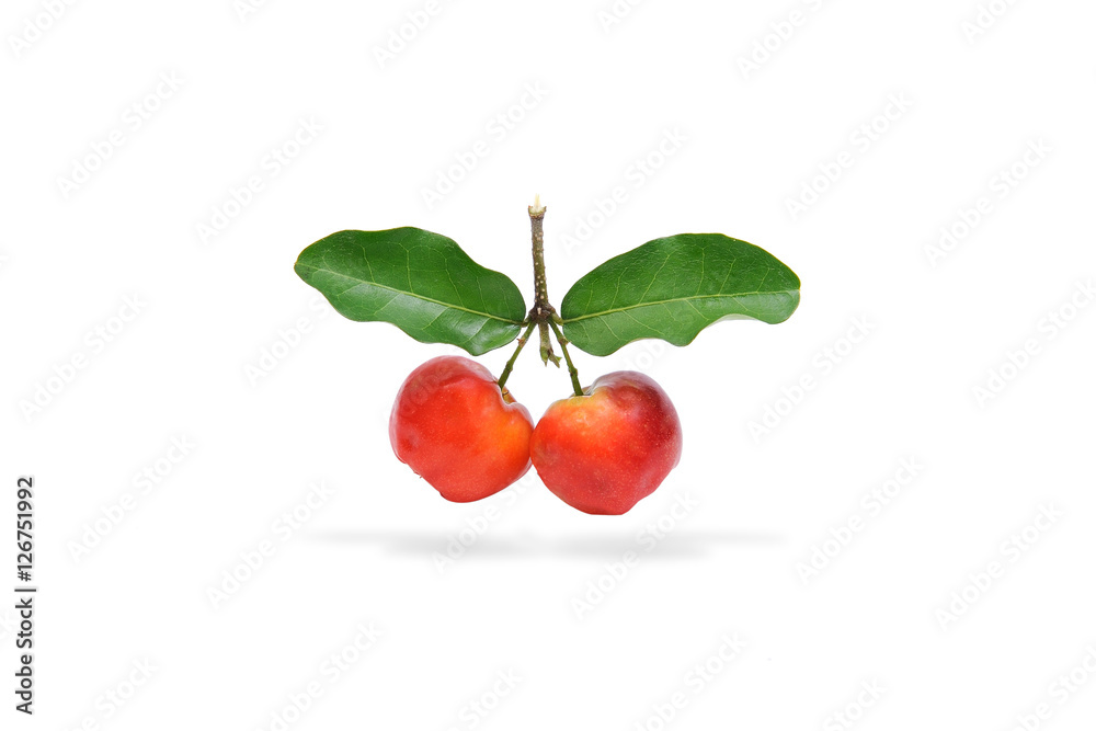 Obraz premium Barbados cherry fruit isolated on white background.