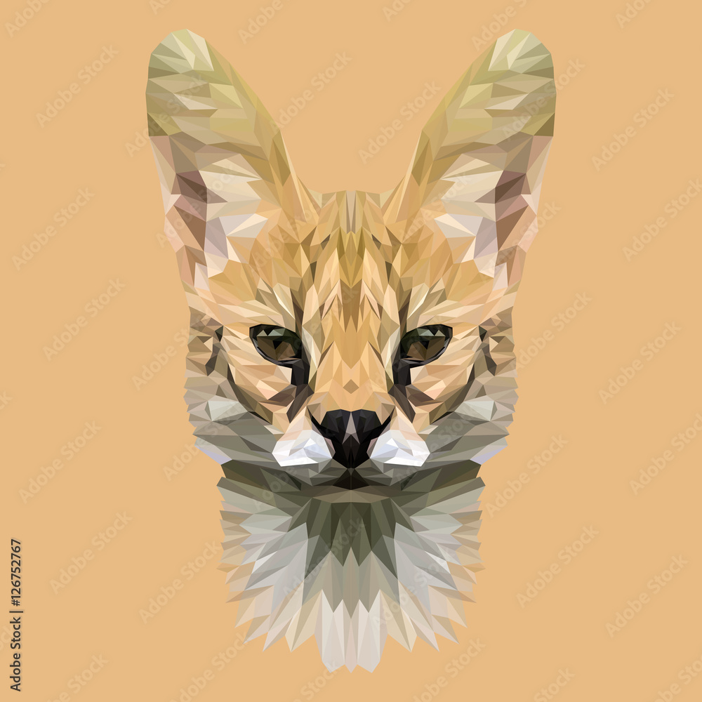 Fototapeta premium Wild cat lynx low poly design. Triangle vector illustration.