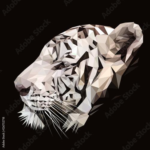 Tiger low poly design. Triangle vector illustration.