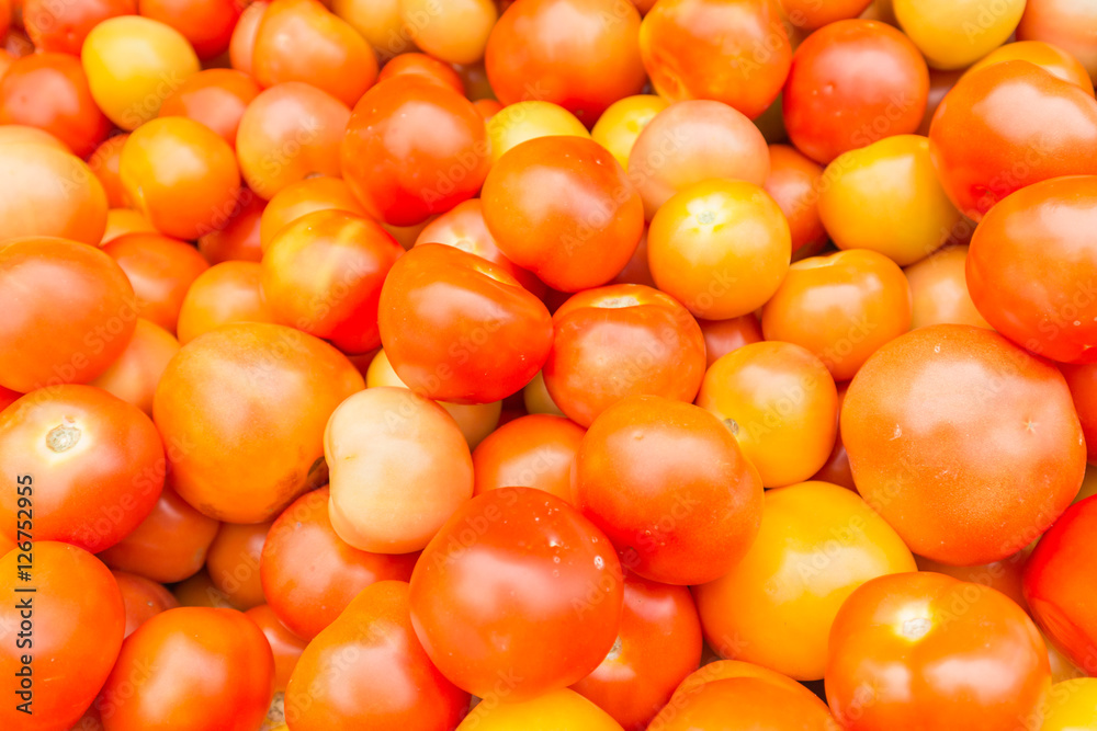 red tomatoes background. Group of tomatoes red tomatoes background. Group of tomatoes