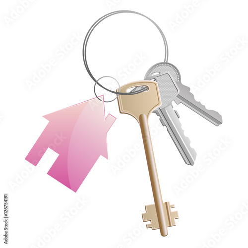 keys ring pink