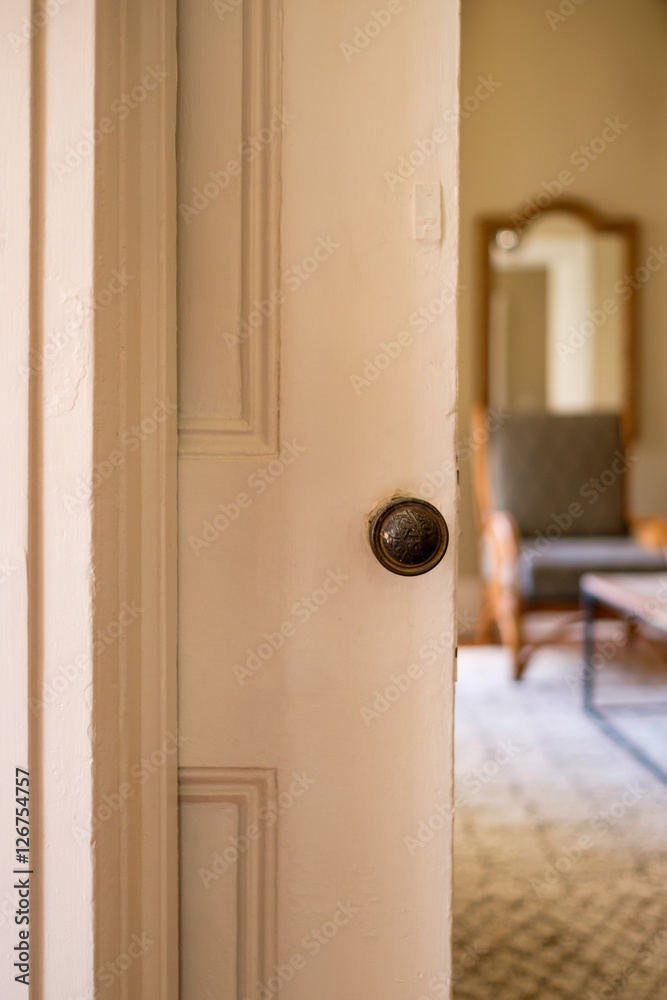 Obraz premium Pocket Door