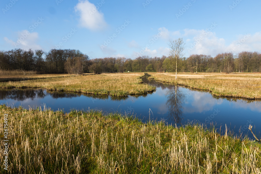 The Oeverlanden, a marsh area with a rich natural diversity including many birds, wild orchids and rare plants The Oeverlanden, a marsh area with a rich natural diversity including many birds, wild orchids and rare plants