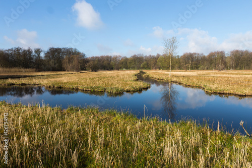 The Oeverlanden, a marsh area with a rich natural diversity including many birds, wild orchids and rare plants