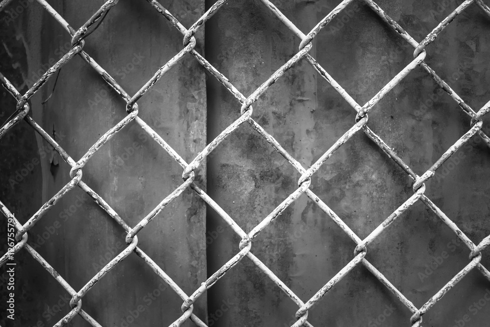Fototapeta premium Chain Fence with zinc Background.