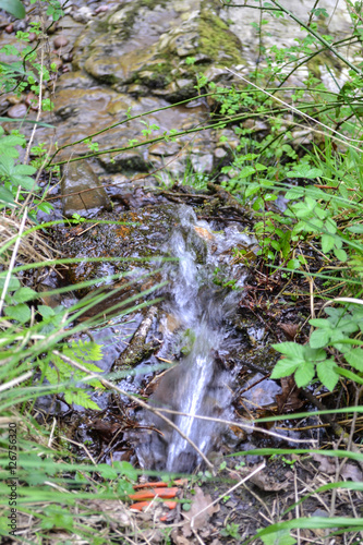 Stream with leaves and trees in Clyne woods, Swansea, UK