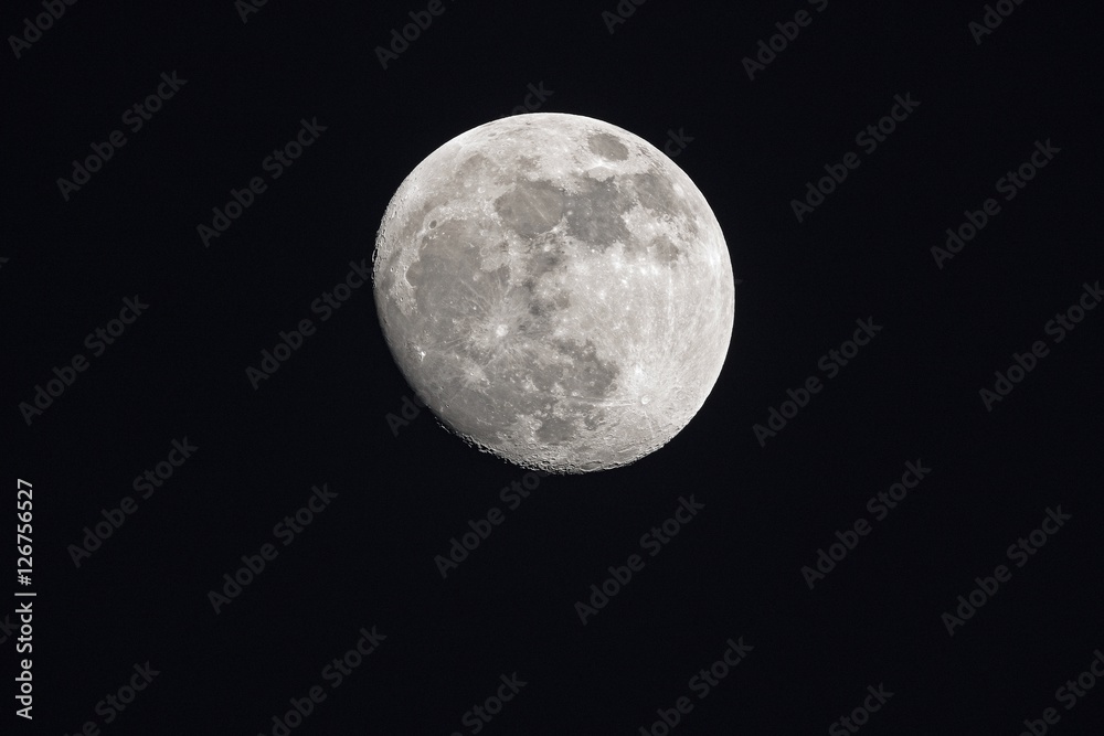 Fototapeta premium Big white Moon on dark night with copy space : shot at 1,260 mm. focal length. No crop image Detailed.