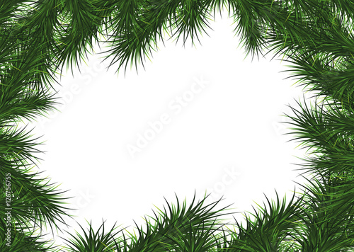 Christmas frame from Christmas tree branches