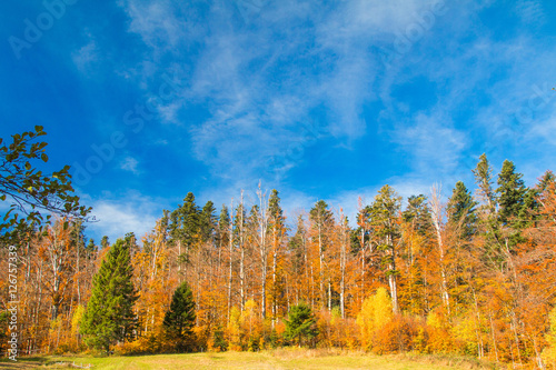     Beautiful colorful wood on lake Bajer  autumn landscape  Fuzine  Gorski kotar  Croatia 