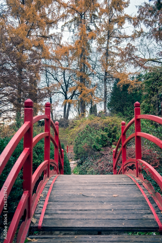 Red bridge in the Japanese garden Red bridge in the Japanese garden