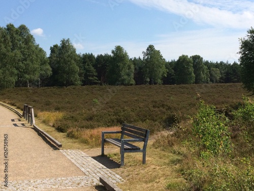 Bank in der Lüneburger Heide