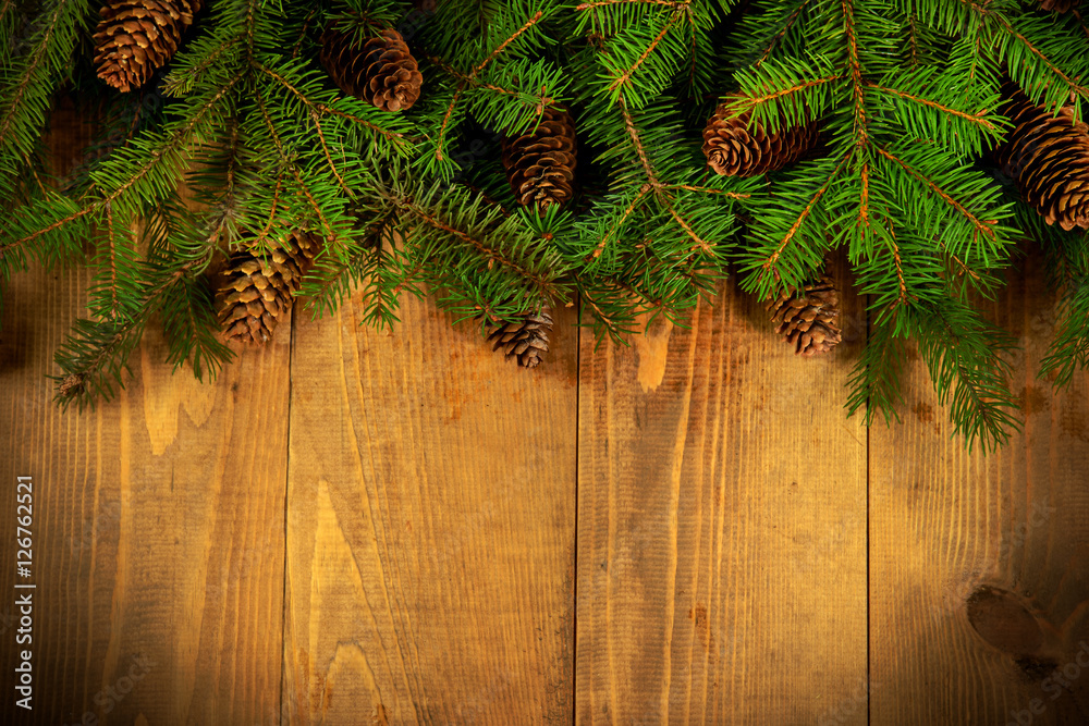 fresh fir branches fresh fir branches