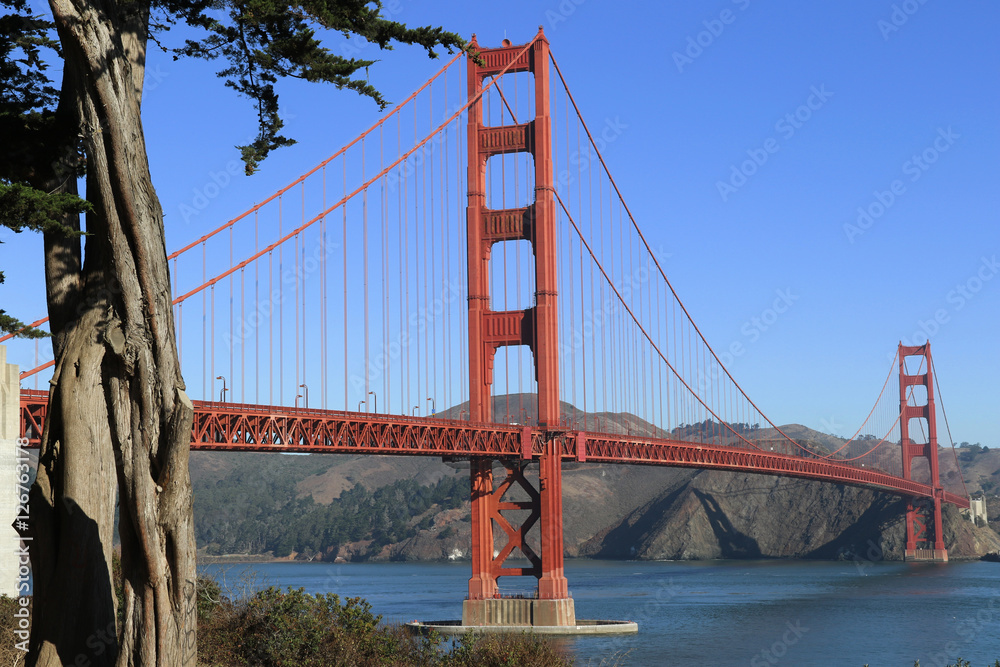Fototapeta premium san fransisco