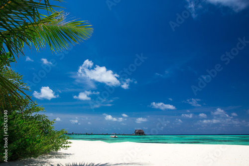 Fototapeta Naklejka Na Ścianę i Meble -   beach in Maldives