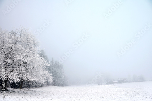 En sagolik vy i ett frostigt landskap.  photo
