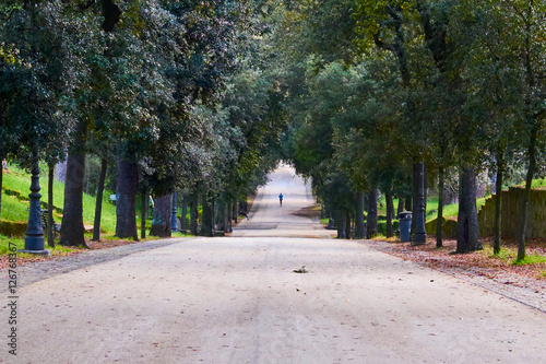 Man runs in the green park i nearly morning