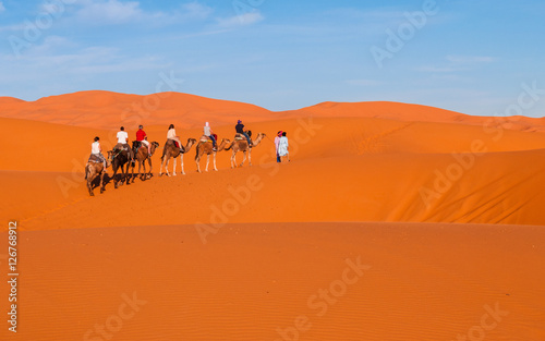 Karawane in den Dünen der Sahara bei Merzouga (Erg Chebbi)  Marokko © majonit