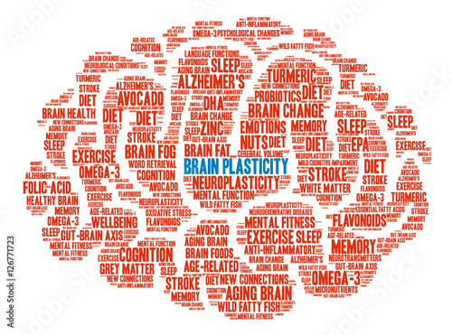Brain Plasticity Brain Word Cloud
