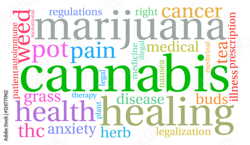 Cannabis Word Cloud on a white background. 