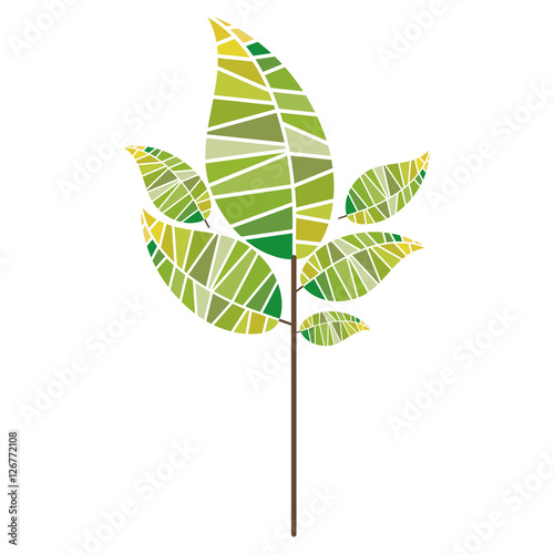 leaf abstract icon image vector illustration design 