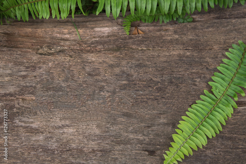 wooden texture background for message,ferns leaf