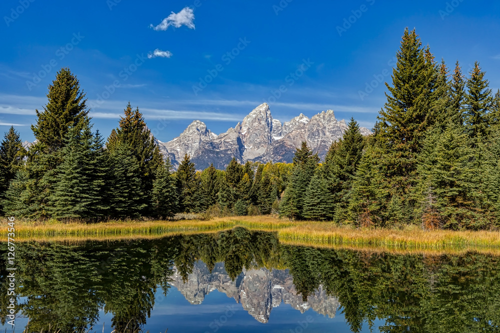 A scene of the Teton Mountains reflected in a beaver pond from Schwabacher Landing in Grand Teton National Park.